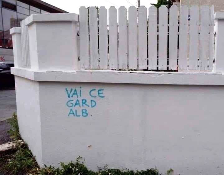ce gard alb